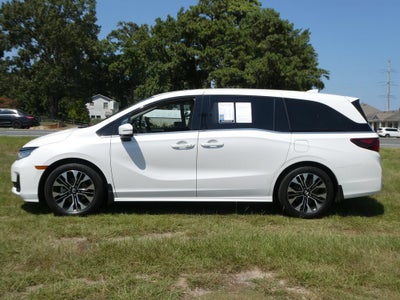 2025 Honda Odyssey Elite